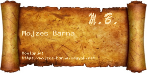 Mojzes Barna névjegykártya